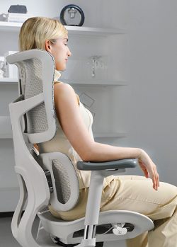 scala-office-photo_1.jpg