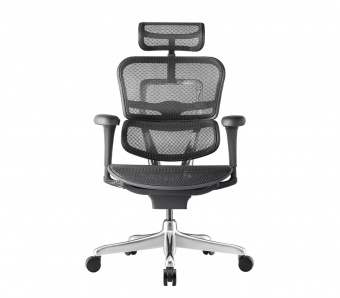 Эргономичное офисное кресло Comfort Seating Ergohuman Project 2