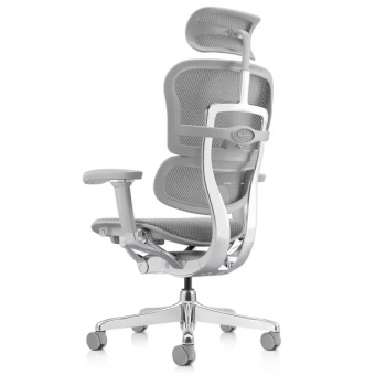 Кресло эргономическое Comfort Seating Ergohuman 2 ST Elite