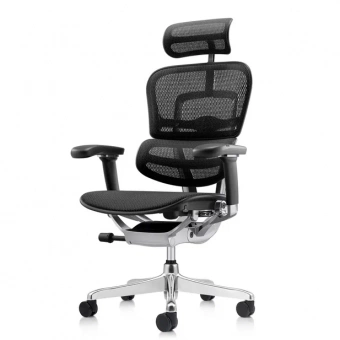 Эргономичное кресло класса люкс Comfort Workspace Ergohuman 2 SE Luxury
