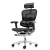 Эргономичное кресло класса люкс Comfort Workspace Ergohuman 2 SE Luxury