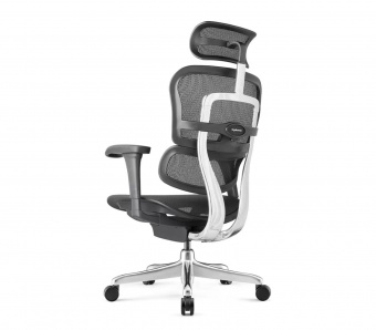 Эргономичное офисное кресло Comfort Seating Ergohuman Project 2