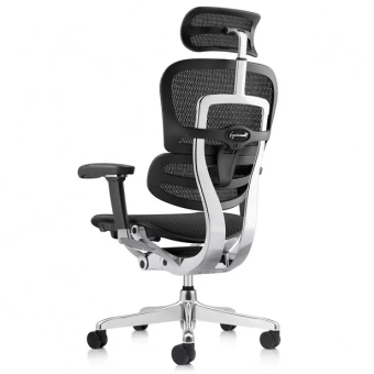 Эргономичное кресло класса люкс Comfort Workspace Ergohuman 2 SE Luxury
