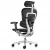 Эргономичное кресло класса люкс Comfort Workspace Ergohuman 2 SE Luxury