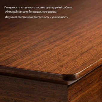 Стол для компьютера премиум с электроприводом EUREKA Ark 160x74 см ERK-ED-TX63-WN