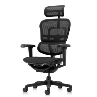 Кресло эргономическое Comfort Seating Ergohuman 2 Ultra ST