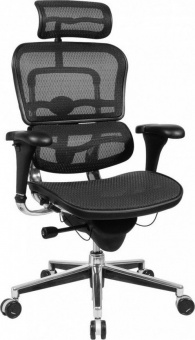 Эргономичное кресло Comfort Seating Ergohuman Standart, черный