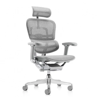 Эргономичное кресло класса люкс Comfort Workspace Ergohuman 2 SE Luxury