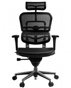 Эргономичное кресло Comfort Seating Ergohuman Standart, черный
