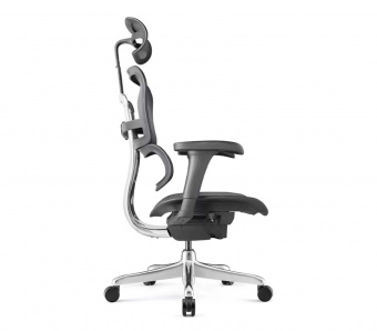 Эргономичное офисное кресло Comfort Seating Ergohuman Project 2