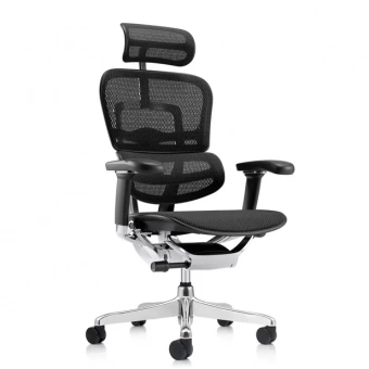 Эргономичное кресло класса люкс Comfort Workspace Ergohuman 2 SE Luxury