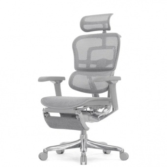 Эргономичное кресло класса люкс Comfort Workspace Ergohuman Luxury 2 с подножкой