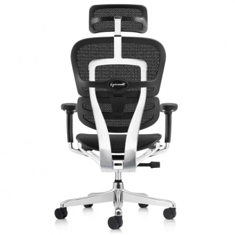 Эргономичное кресло класса люкс Comfort Workspace Ergohuman 2 SE Luxury