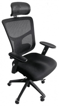 Эргономичное кресло Expert Star Office Ergo