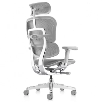 Кресло эргономическое Comfort Seating Ergohuman 2 ST Elite