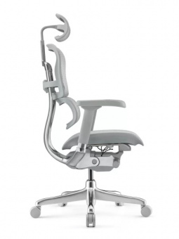 Кресло Comfort Seating Ergohuman Elite 2