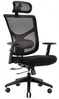 Эргономичное кресло Expert Star Office Ergo