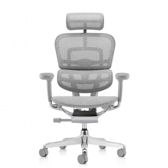 Эргономичное кресло класса люкс Comfort Workspace Ergohuman 2 SE Luxury