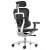 Эргономичное кресло класса люкс Comfort Workspace Ergohuman 2 SE Luxury