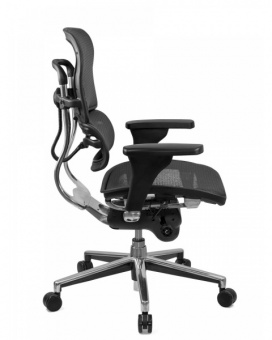 Эргономичное кресло Comfort Seating Ergohuman Standart, черный