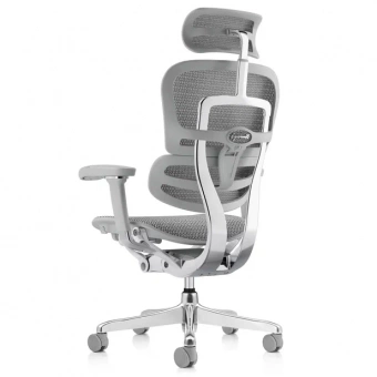 Эргономичное кресло класса люкс Comfort Workspace Ergohuman 2 SE Luxury
